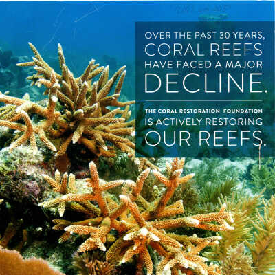 Coral Restoration Folder with Meeting To-Do