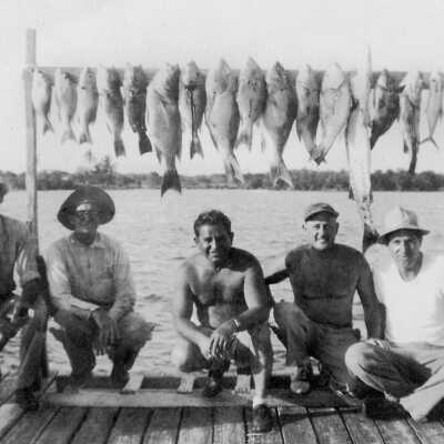 A lot of Nice Snapper