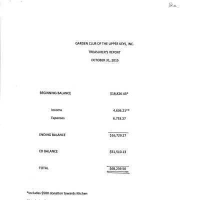 October 2015 Treasurer Report
