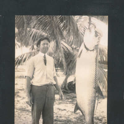 Fred C. N. Parke's Tarpon