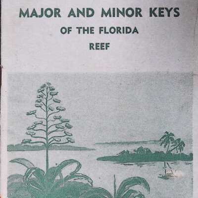 Major and Minor Keys of the Florida Reef