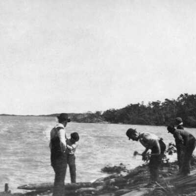 Camp Buttonwood