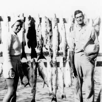 A Few Fish