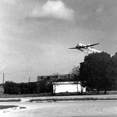 M C A F - 1981