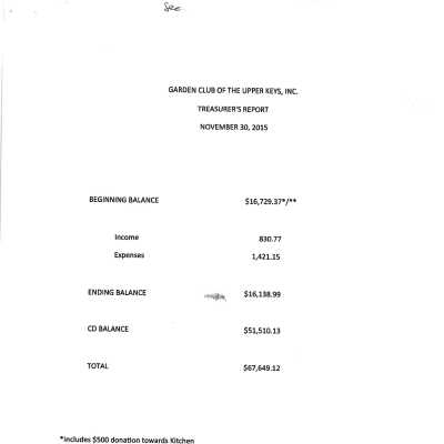 November 2015 Treasurer Report