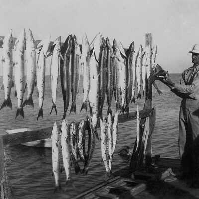 Checking out the catch