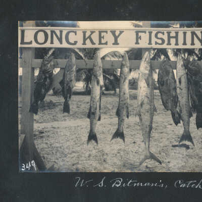 W. A. Bitman's Catch