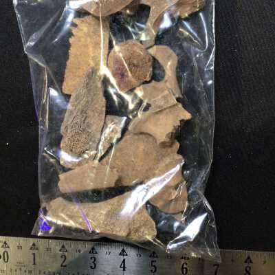 Bag of bone chunks