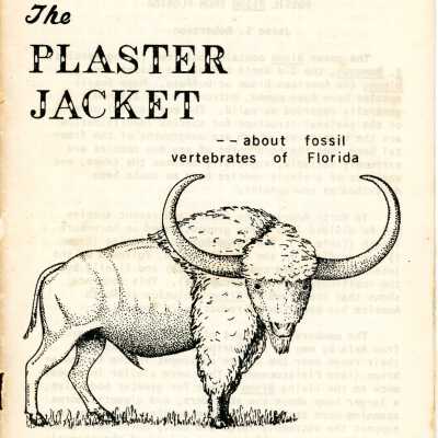 The Plaster Jacket #12