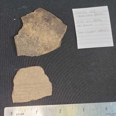 Sherds With Various Patterns