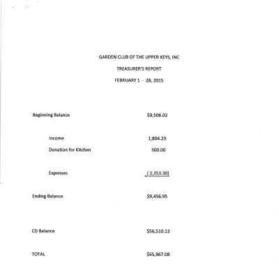 February 1-28, 2015 Treasurer Report