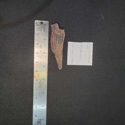 Unidentified Piece of Wood