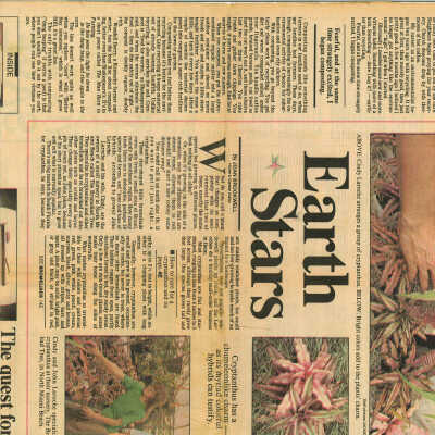 Earth Stars Article