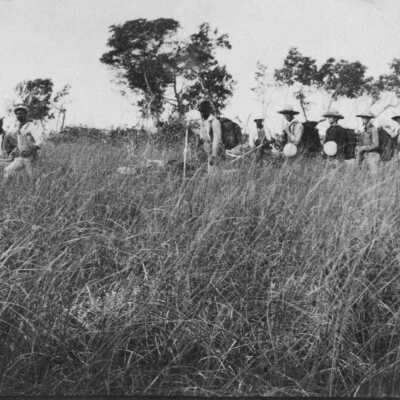 Survey Party in the Glades