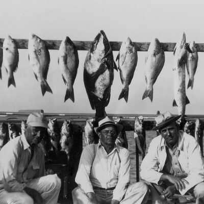 A Nice Fishing Group