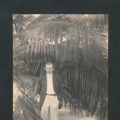Standing Among the Palms