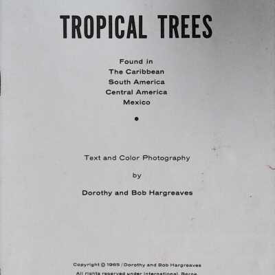 Tropical Trees
