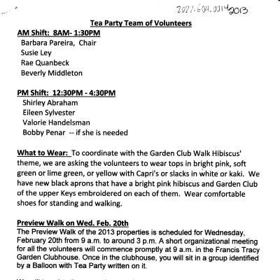 2013 Tea Party documents