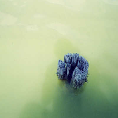 Blackwater Sound Pilings from RR 5
