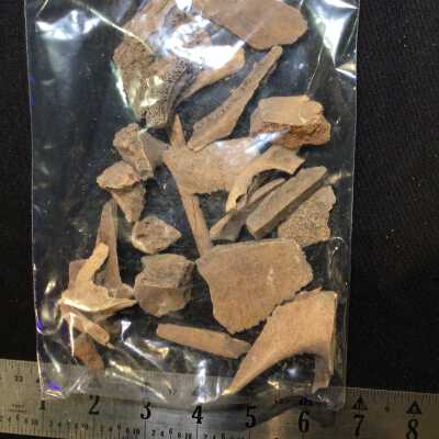 Bag of bone fragments