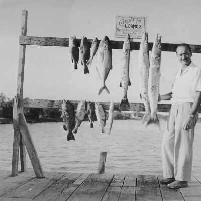 Caught on the Edromar