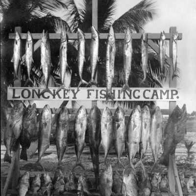 Catch of One Rod