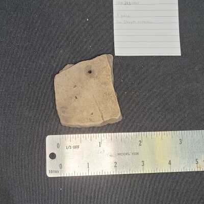 Punctured and Incised St Johns Check Stamped Sherd