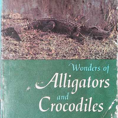 Wonders of Alligators and Crocodiles