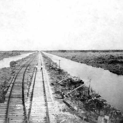 Manatee Creek