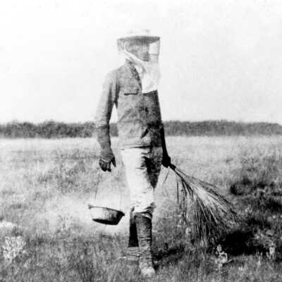 William J. Krome in the Everglades