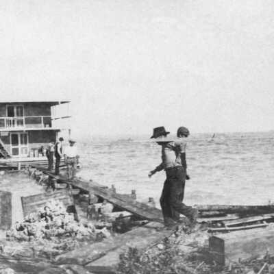 Dock Camp Buttonwood