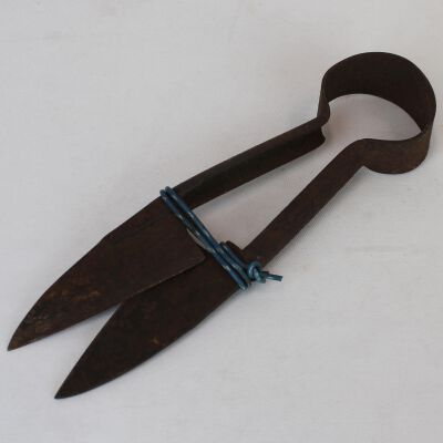 Shears, Sheep