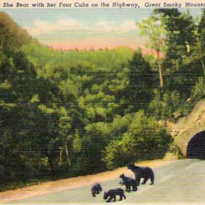 Postcard