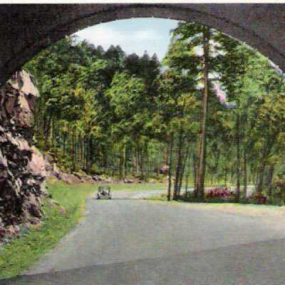 Postcard