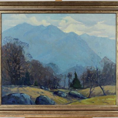Untitled [mountains with field and rocks]