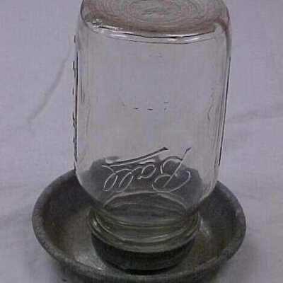 Waterer, Poultry
