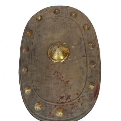 Shield