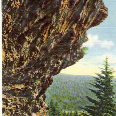 Postcard