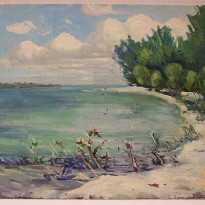 Untitled [tropical cove and shoreline]