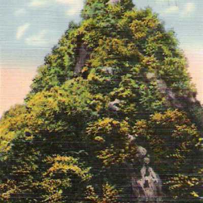 Postcard