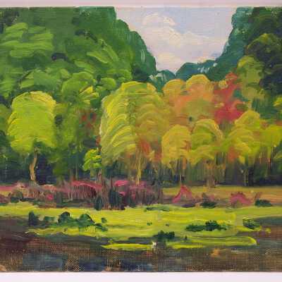 Untitled [landscape with water at front and trees behind]