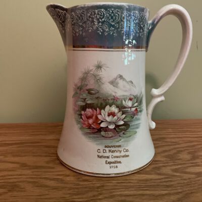 Pitcher