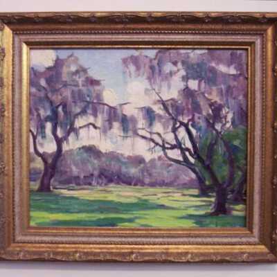 Untitled [trees with Spanish moss]
