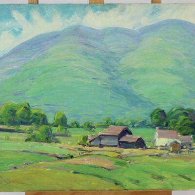 Untitled [farm in front of mountain]