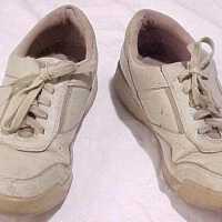 Shoe