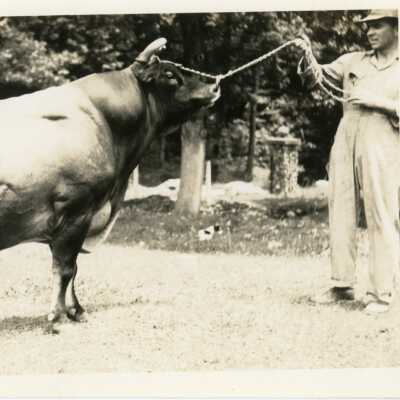 Print, Photographic