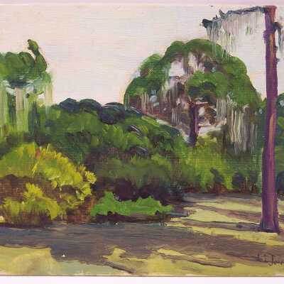 Untitled [landscape with semi-tropical vegetation]