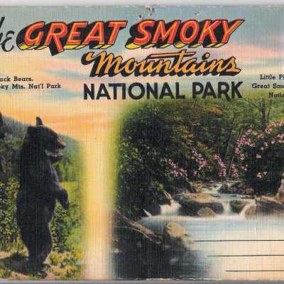 Postcard