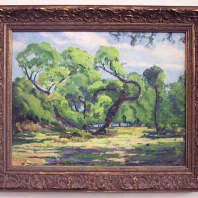 Untitled [tropical landscape with oddly shaped trees]