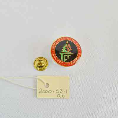 Pin